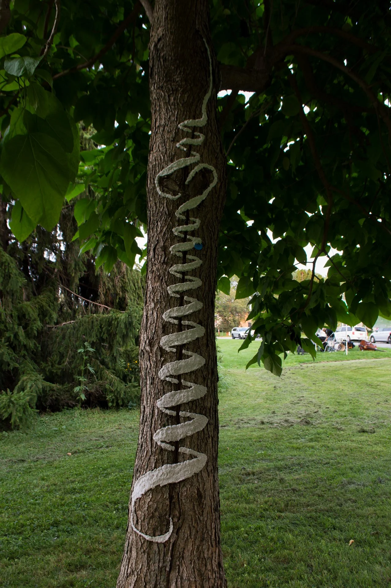 Warner Park, August 12, 2026
