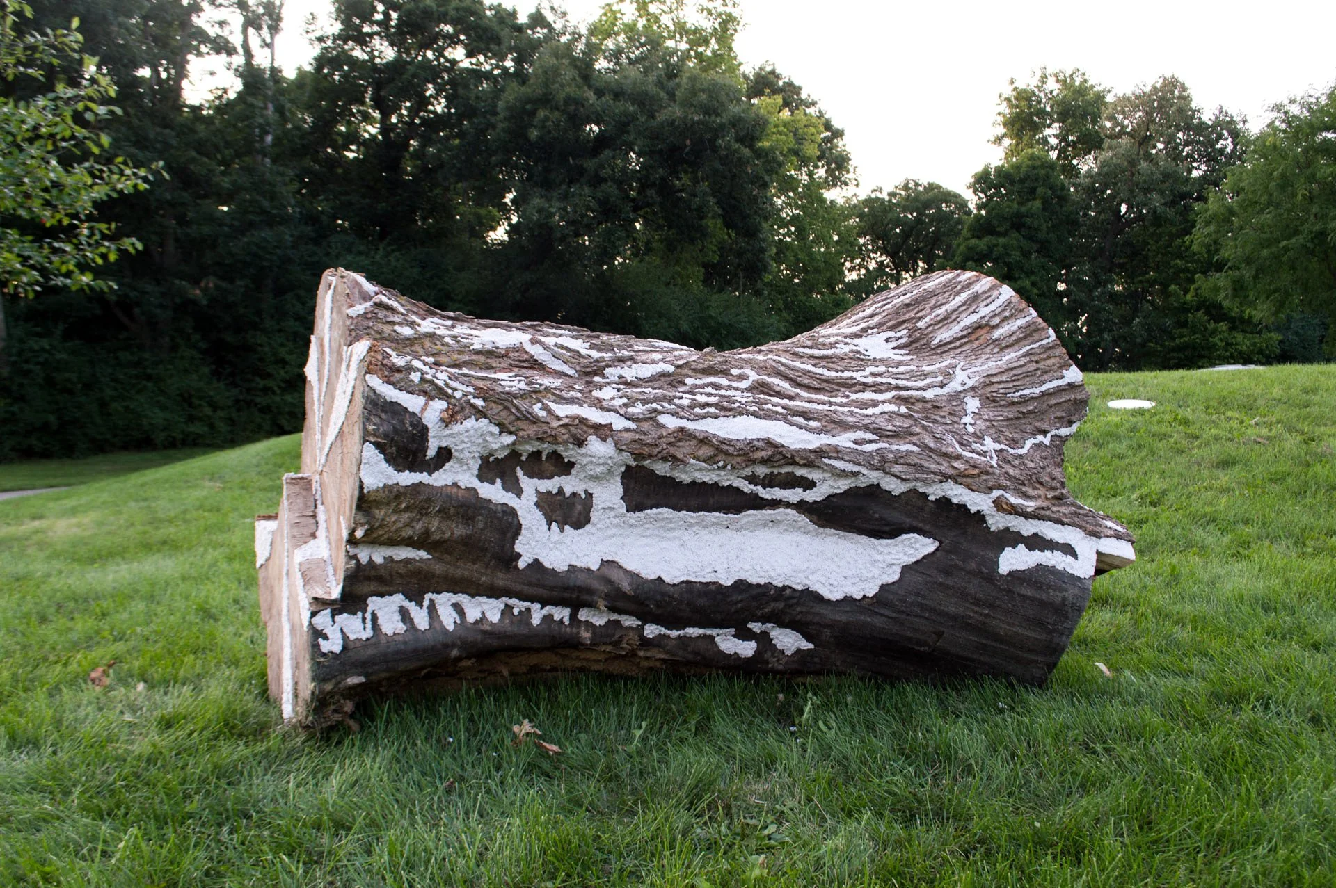 Owl Creek Park, August 20, 2026