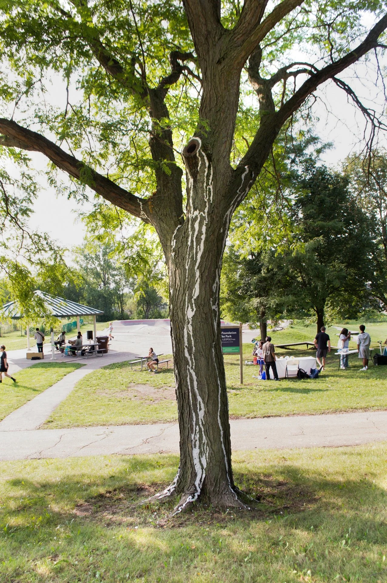 Aldo Leopold Park, August 11, 2026