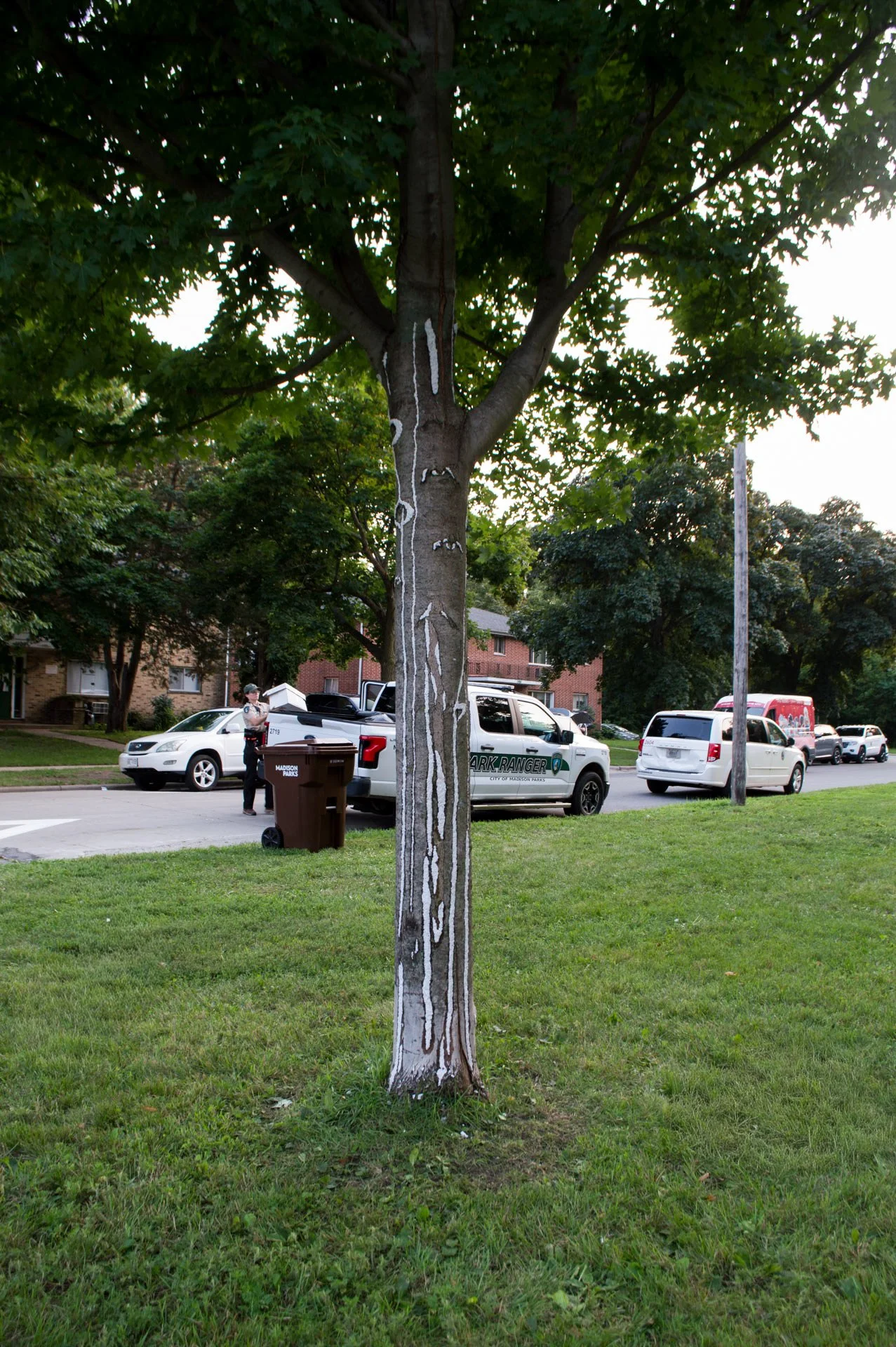 Warner Park, August 12, 2026