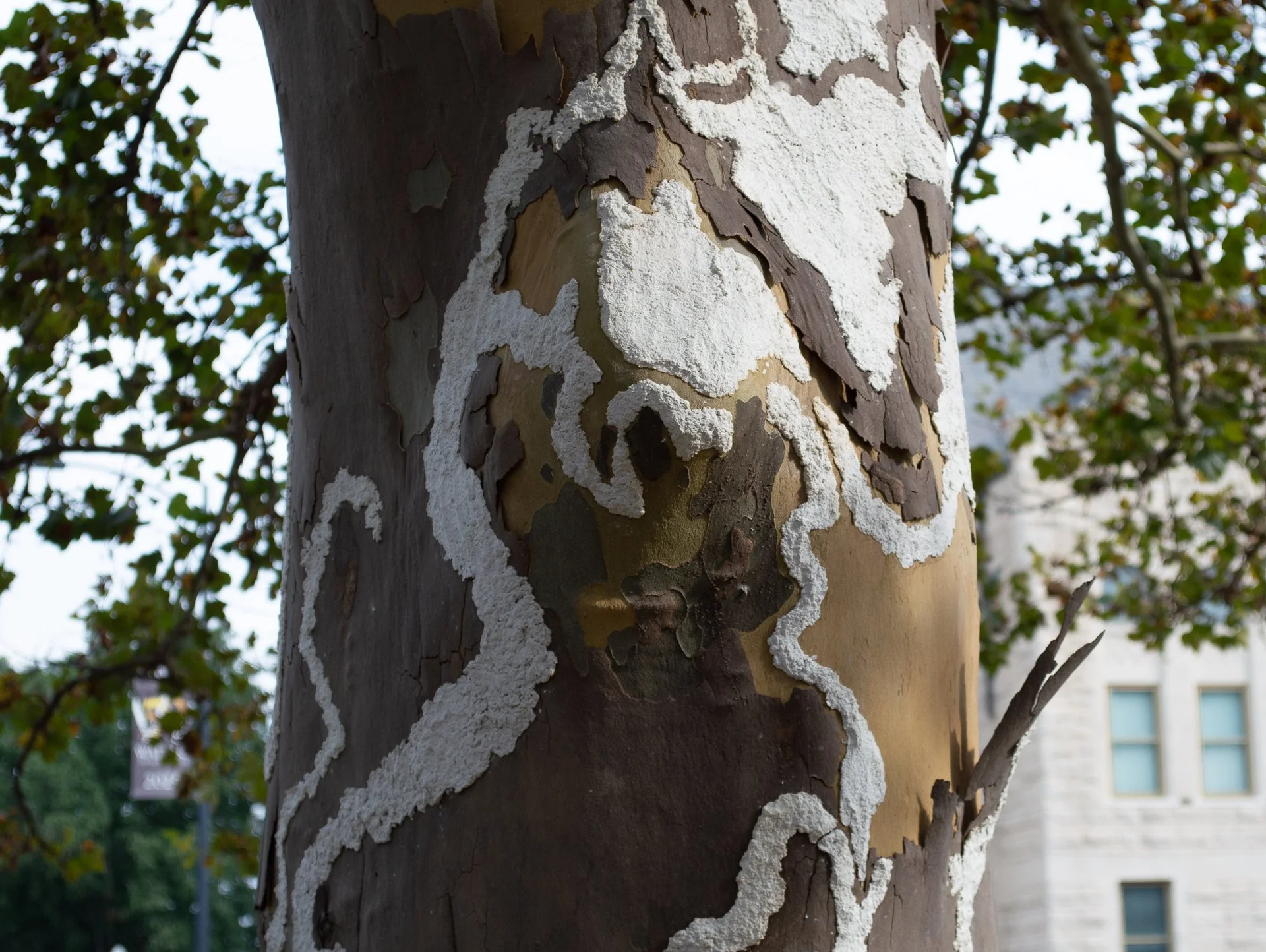 UPAE_2025-13.jpg