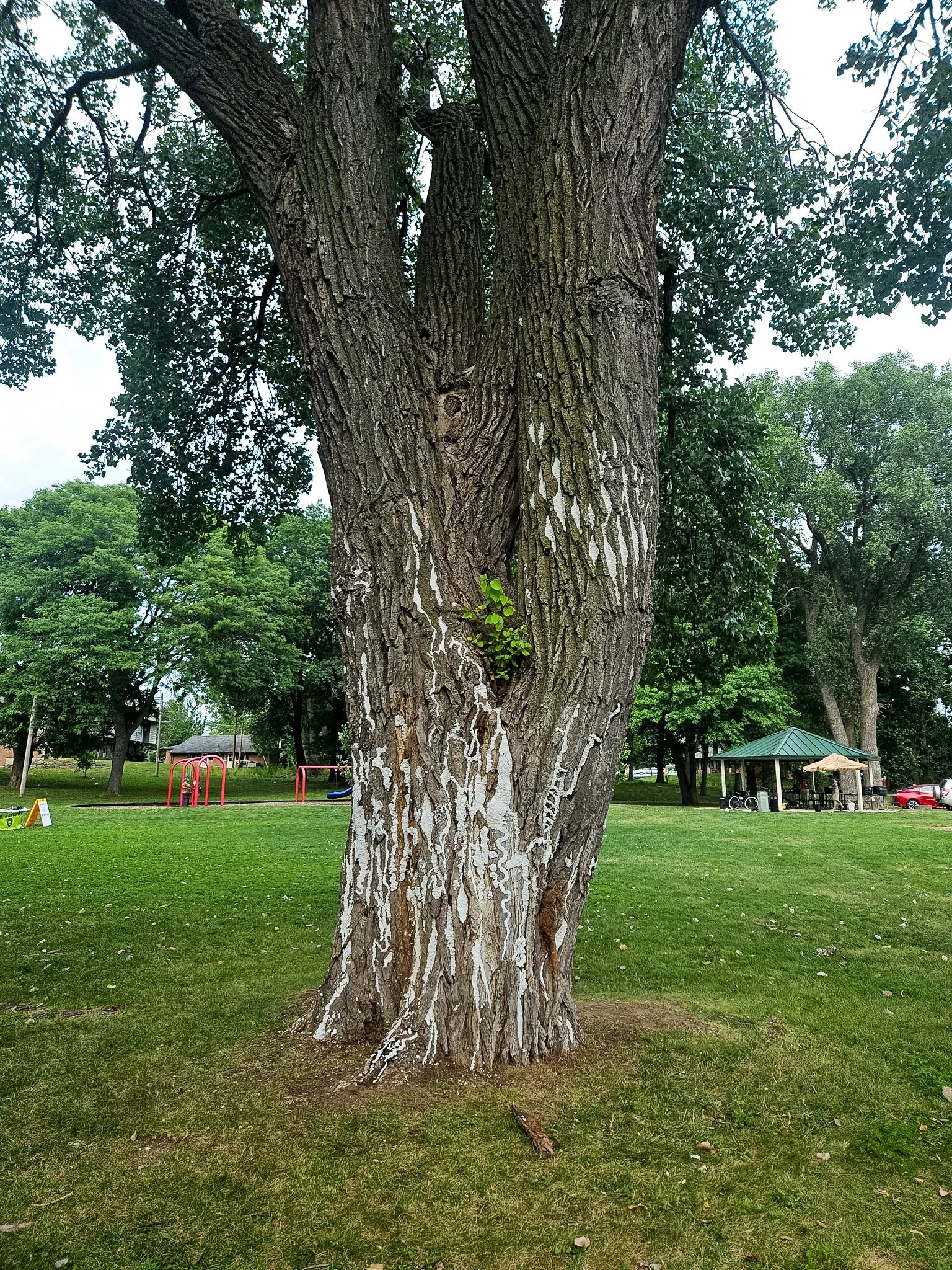 Worthington Park, August 4, 2026