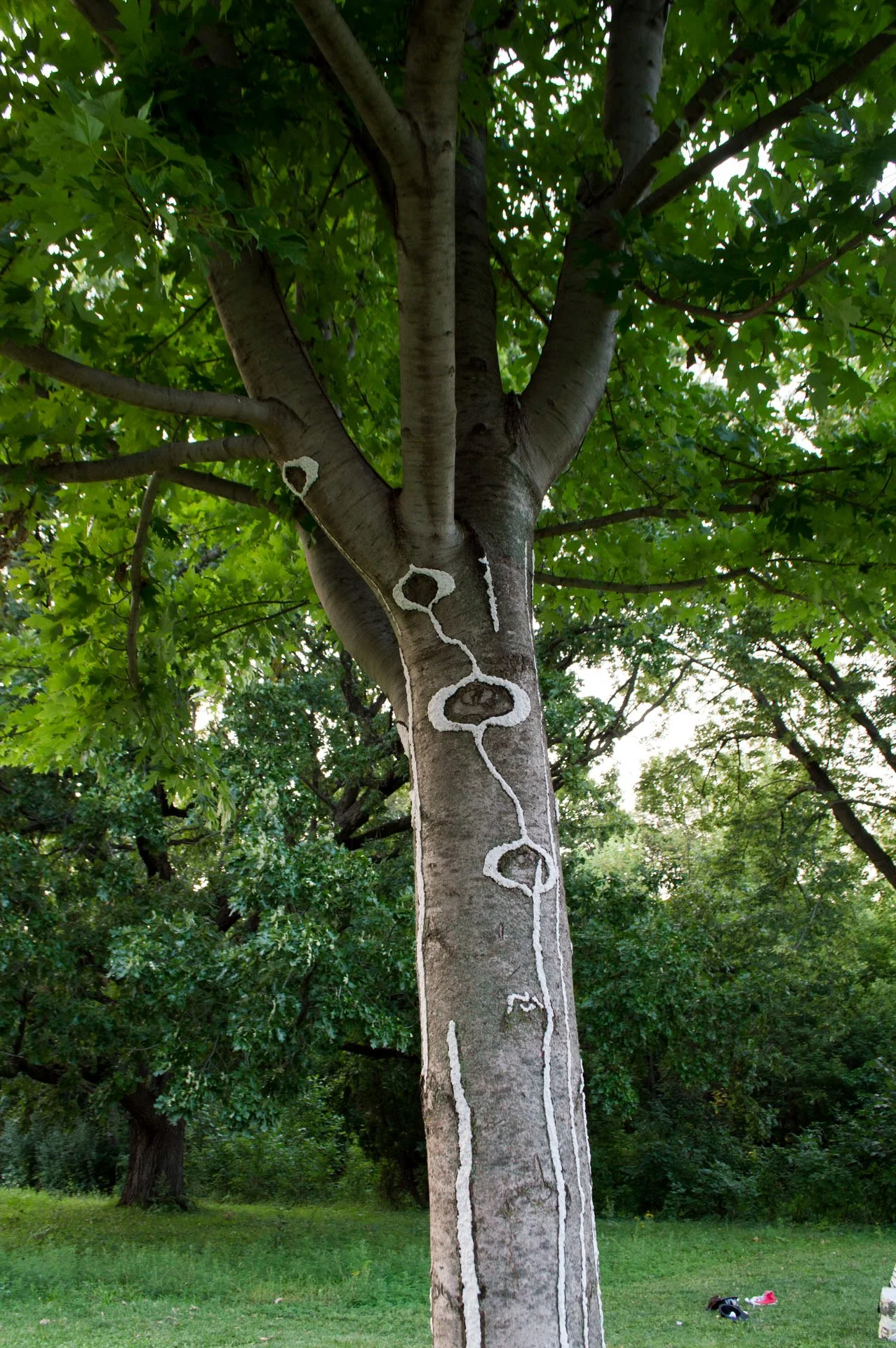 Warner Park, August 12, 2026