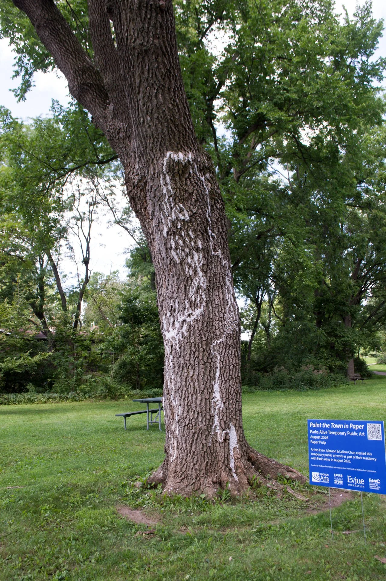 Hammersley Park, August 19, 2026