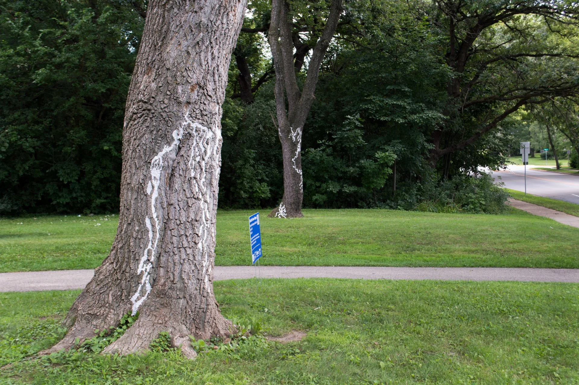 Hammersley Park, August 19, 2026