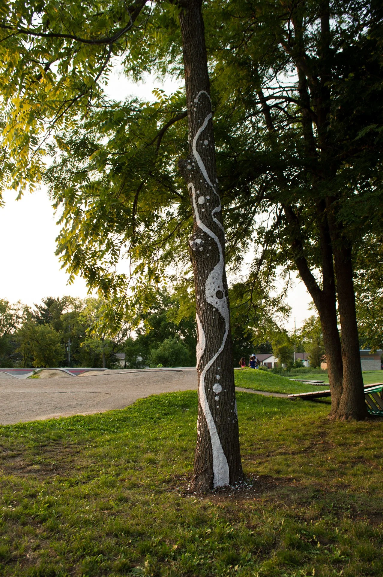 Aldo Leopold Park, August 11, 2026