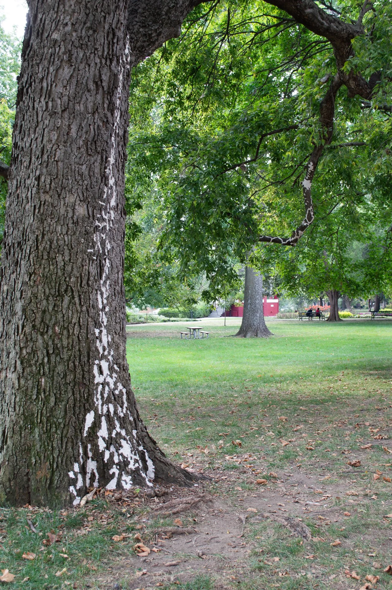 UPAE_2025-14.jpg