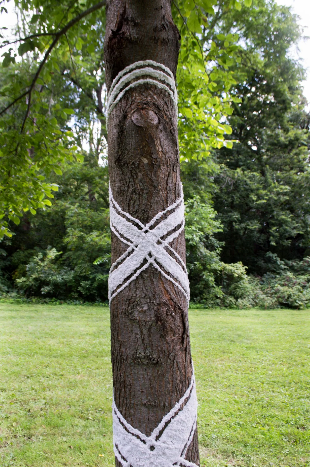 Hammersley Park, August 19, 2026