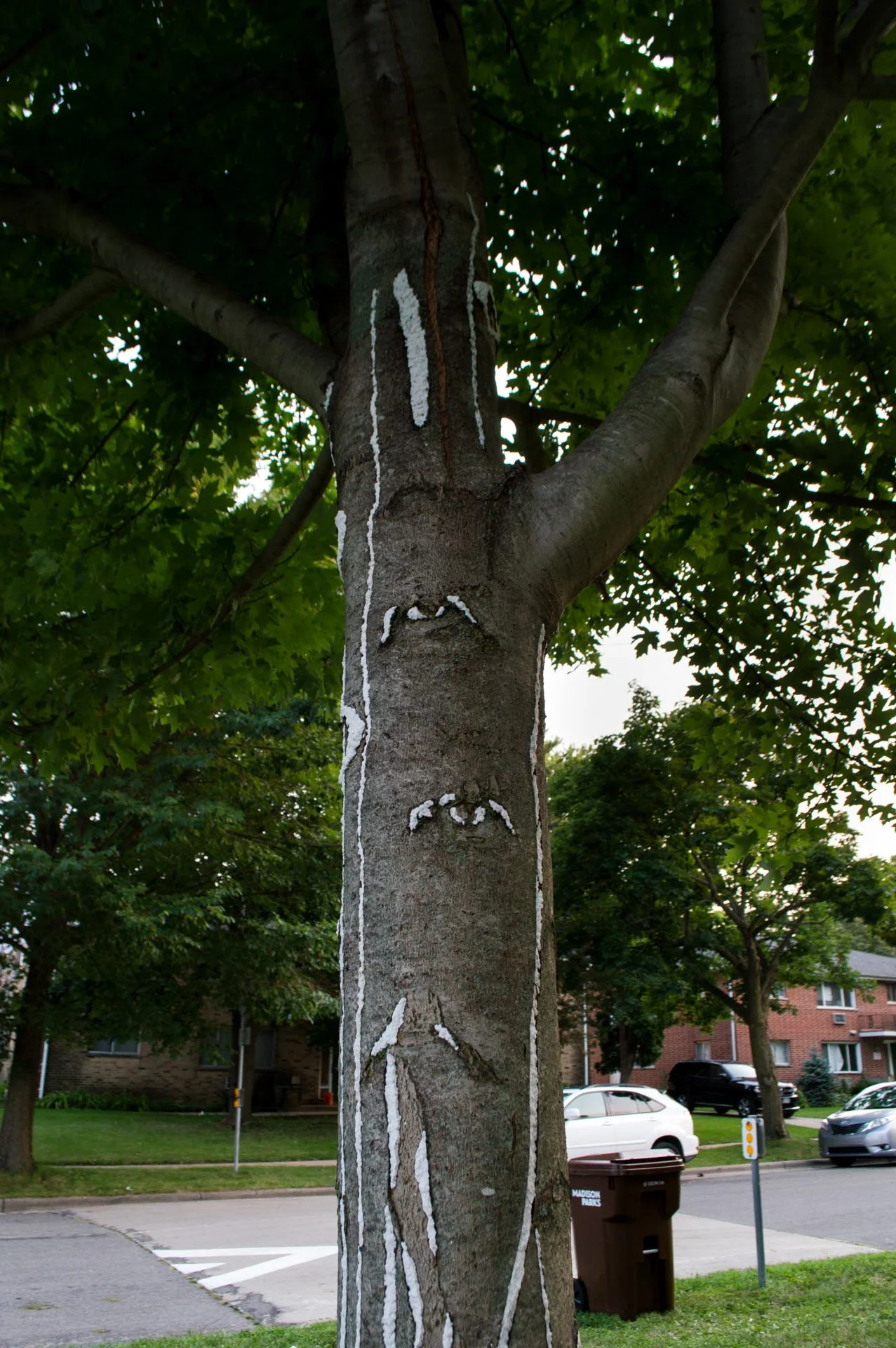 Warner Park, August 12, 2026