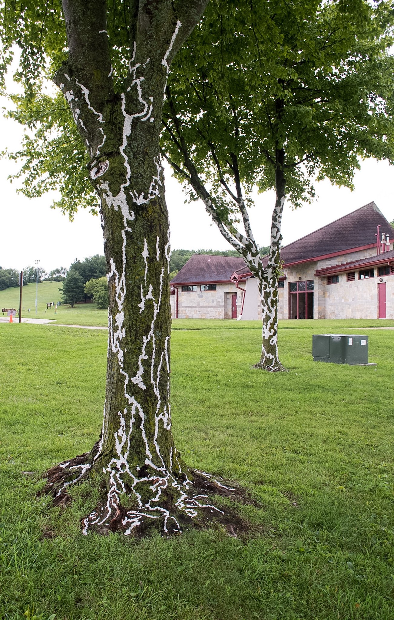 Elver Park, August 3, 2026
