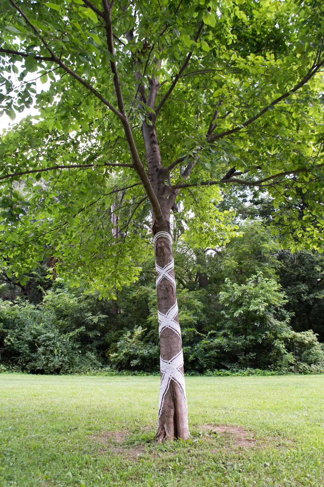 Hammersley Park, August 19, 2026