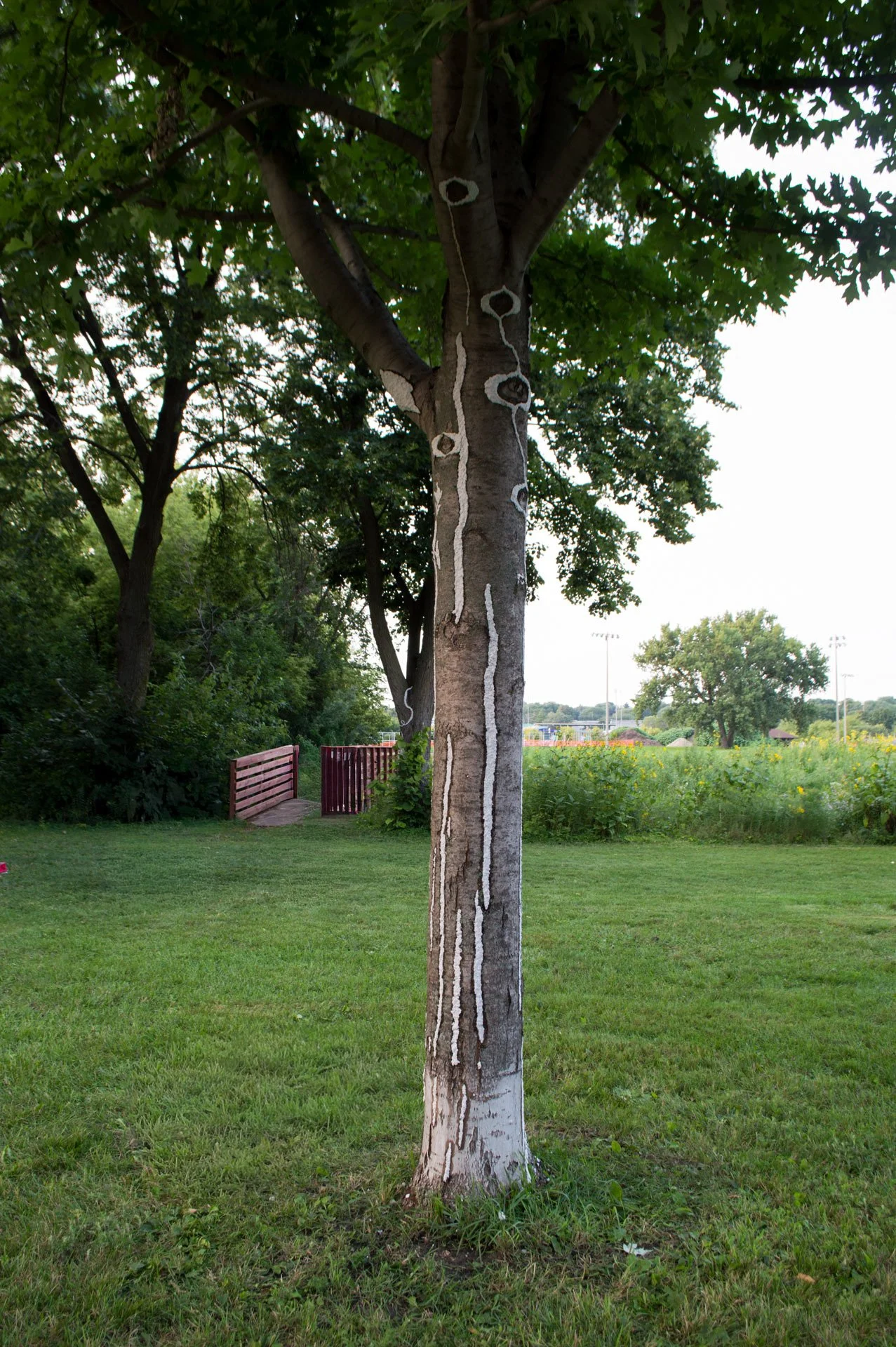 Warner Park, August 12, 2026
