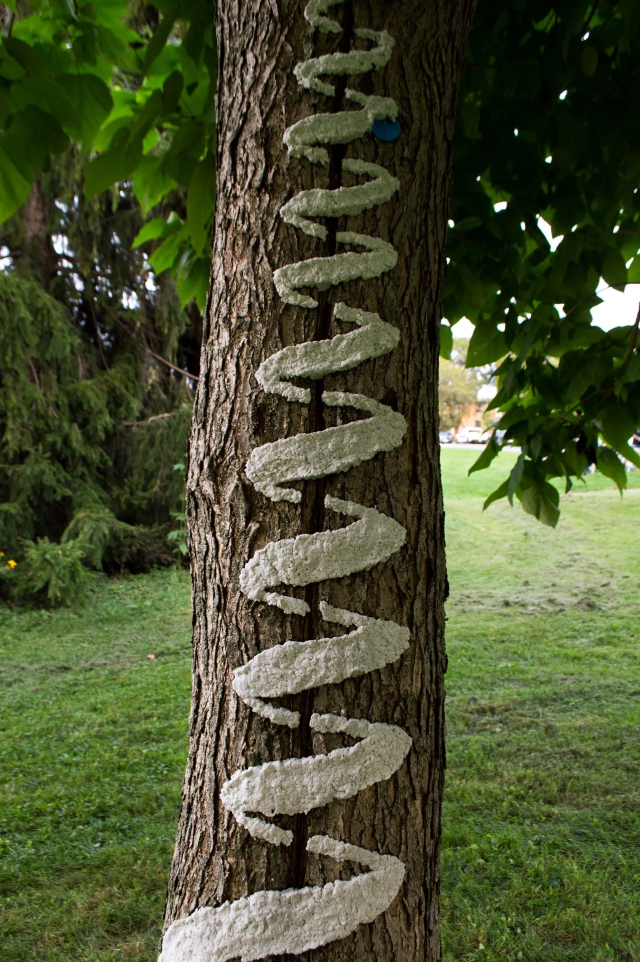 Warner Park, August 12, 2026