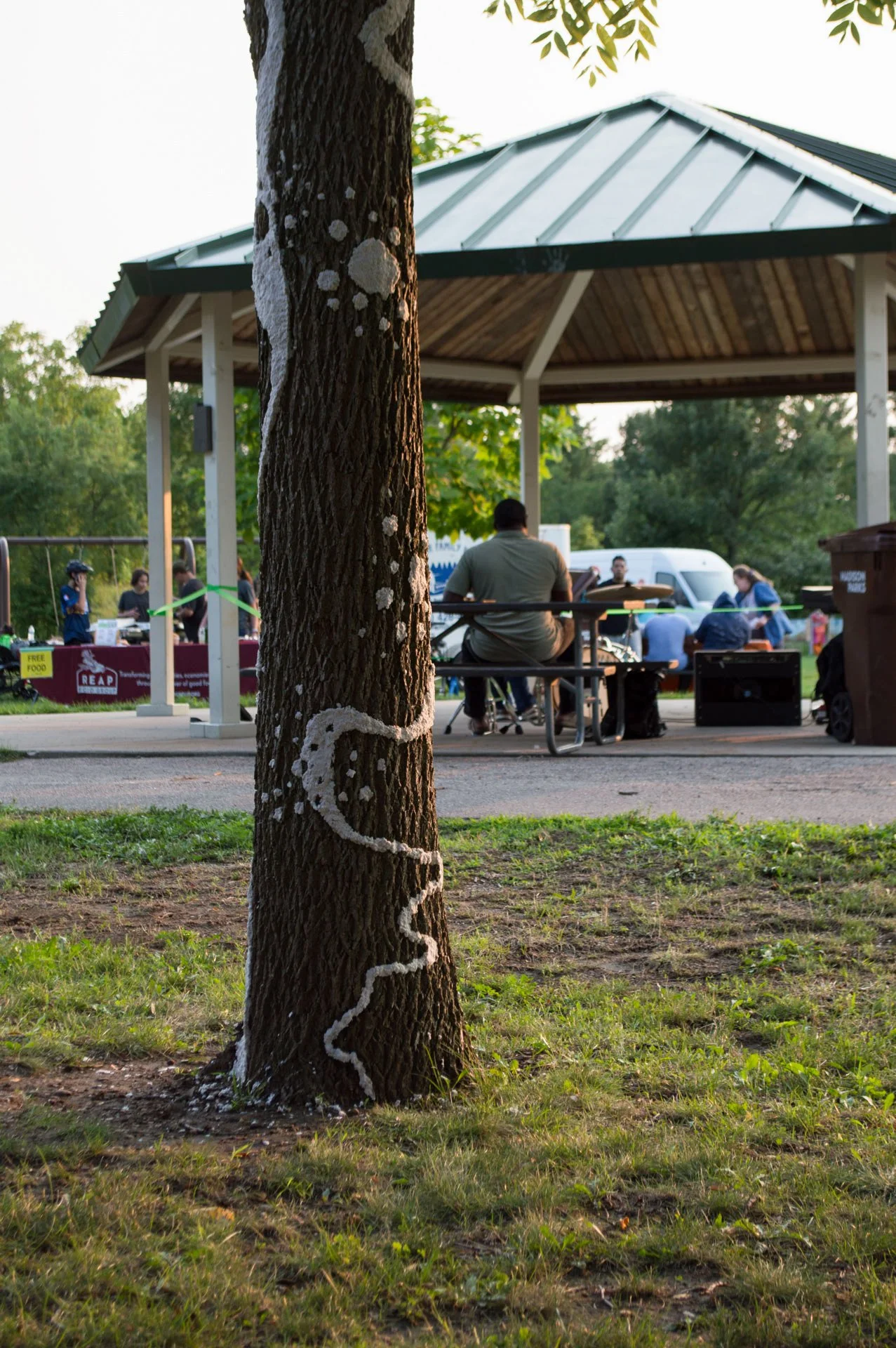 Aldo Leopold Park, August 11, 2026
