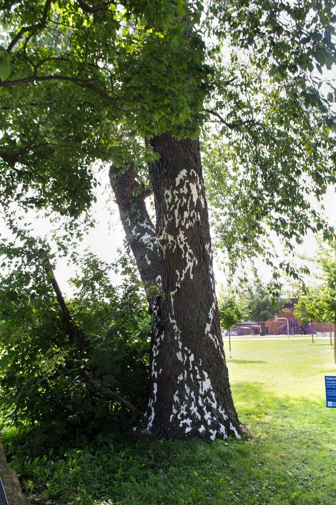 Sandburg Park, August 18, 2026