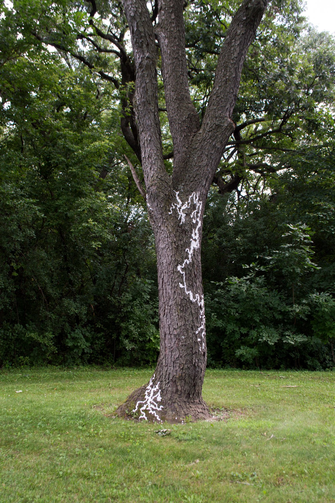 Hammersley Park, August 19, 2026