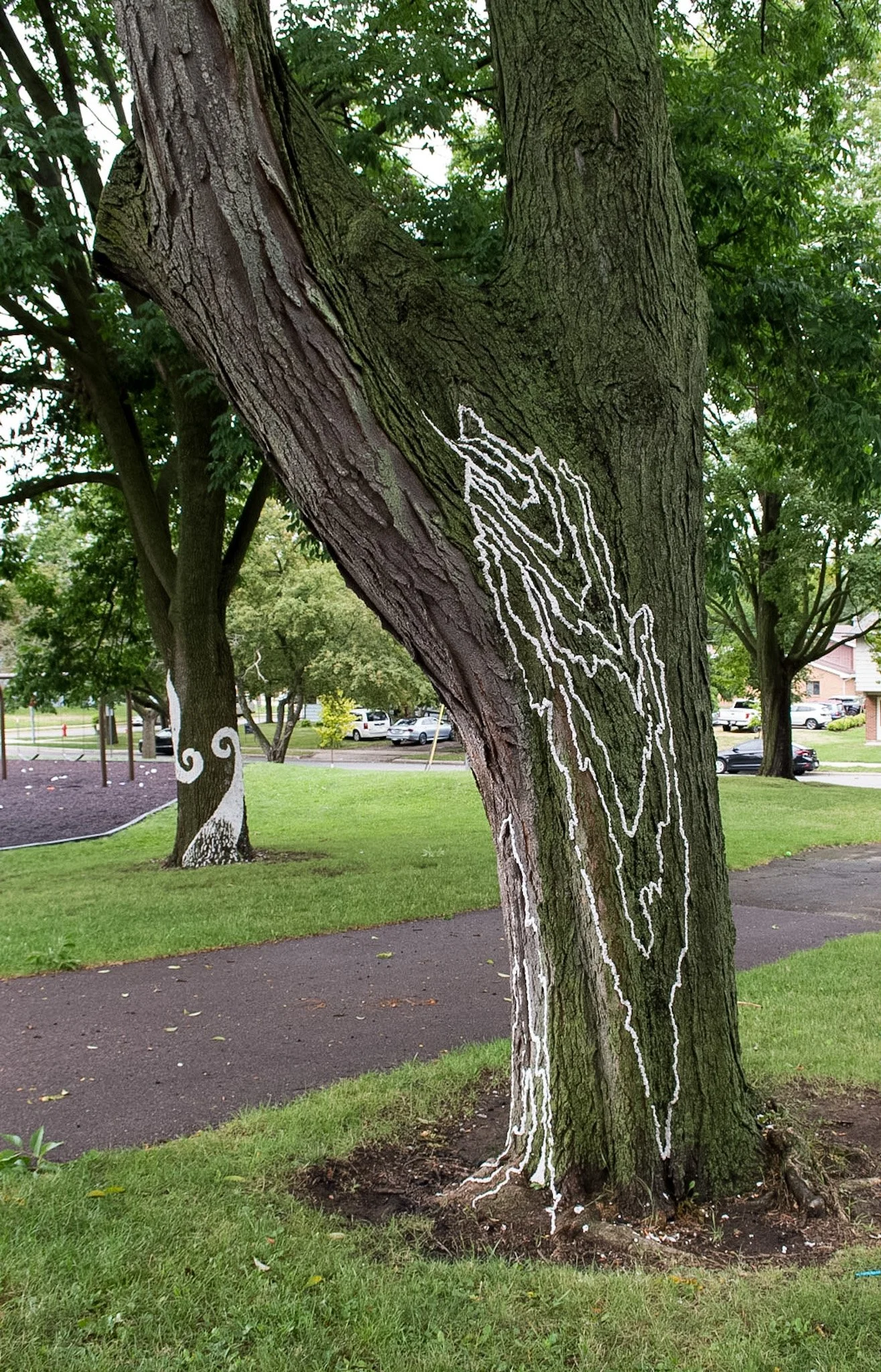 Penn Park, August 6, 2026
