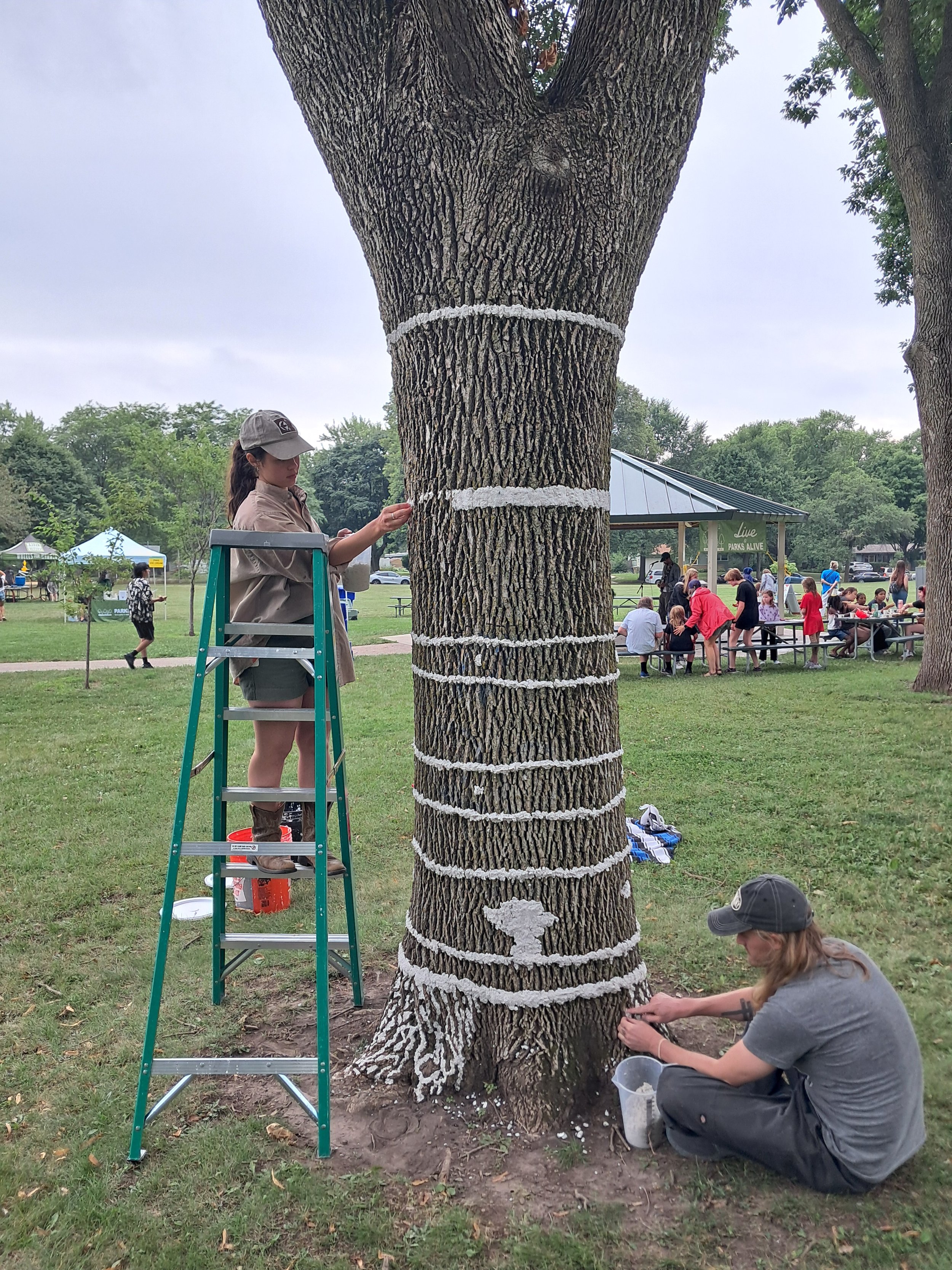 Meadowood Park, August 5, 2026