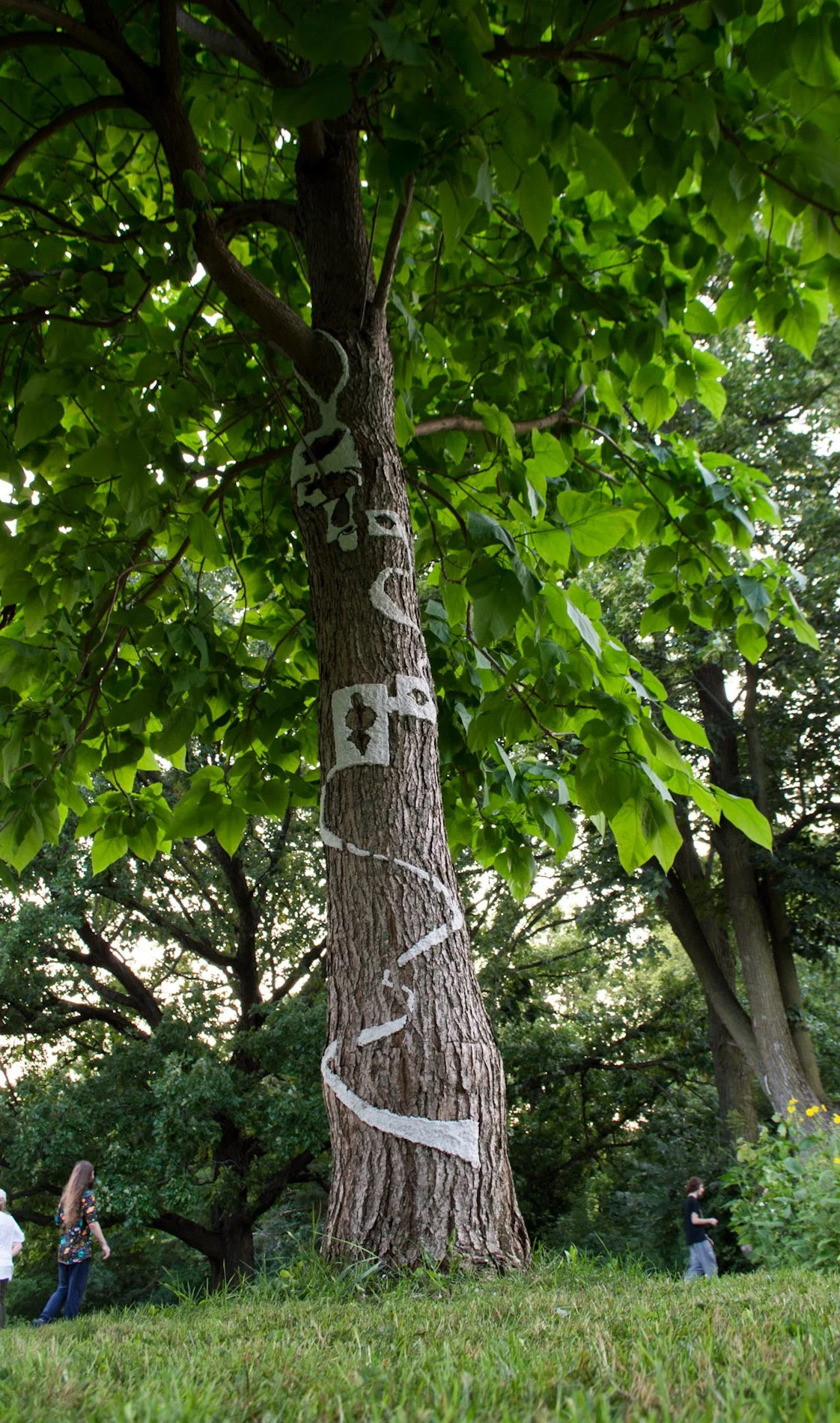 Warner Park, August 12, 2026