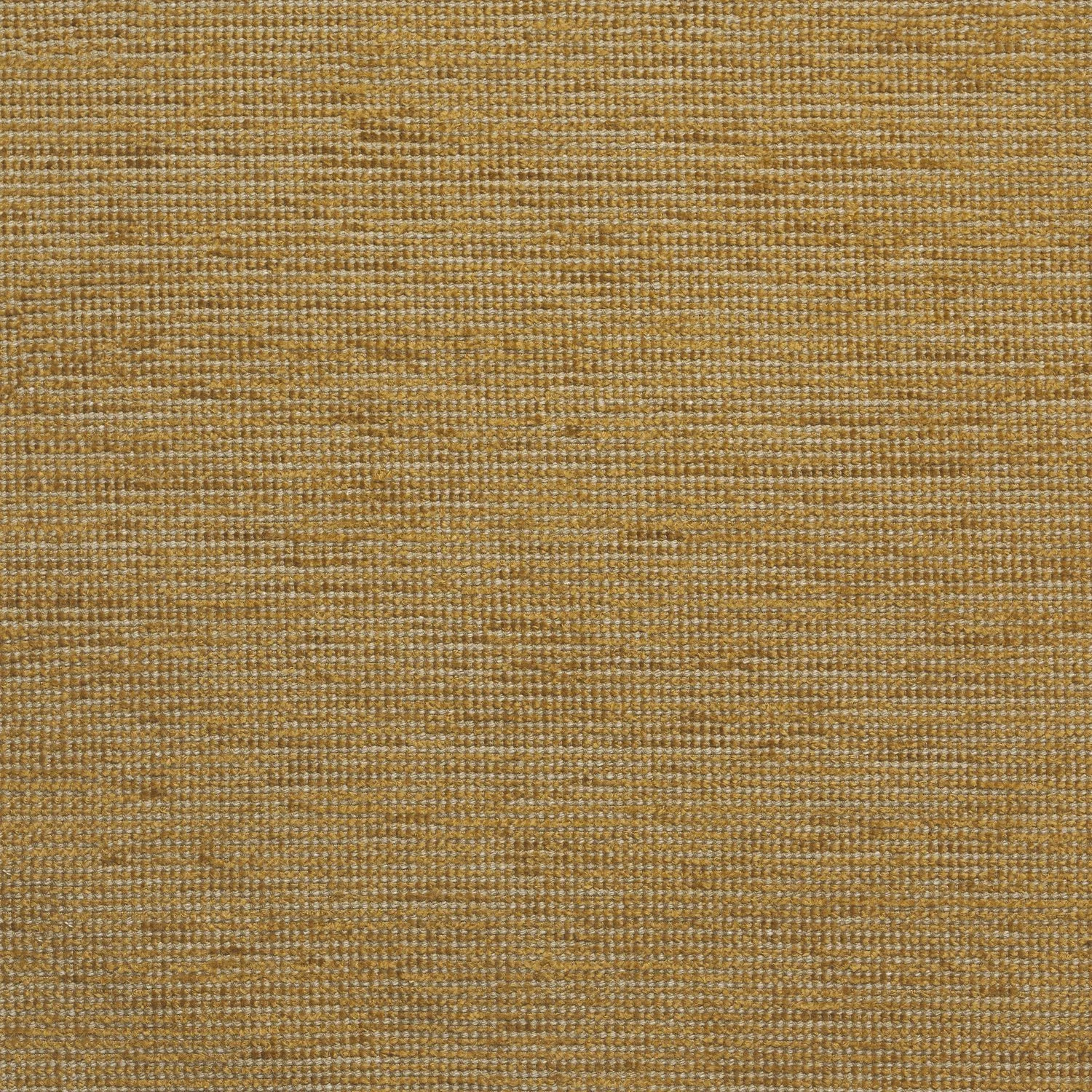 Tumeric.jpg