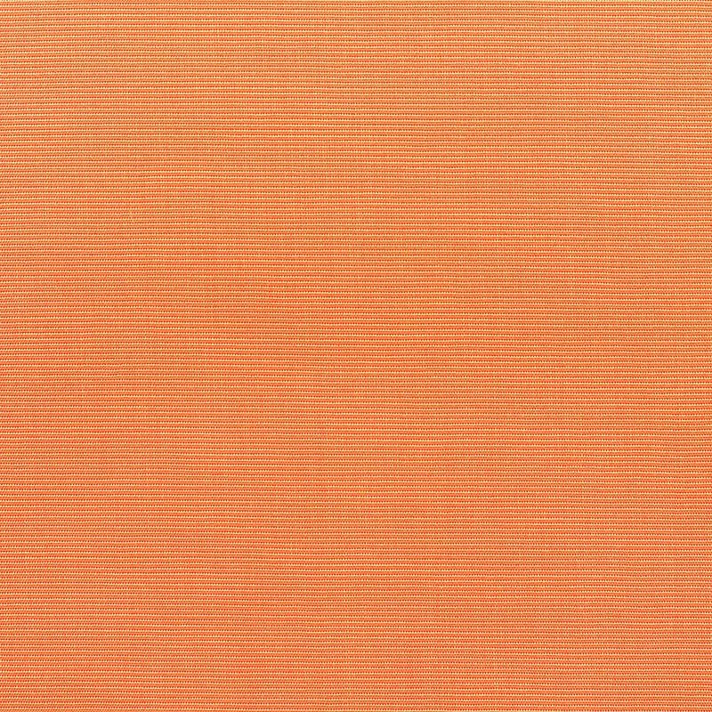 UNION-CARROT.jpg