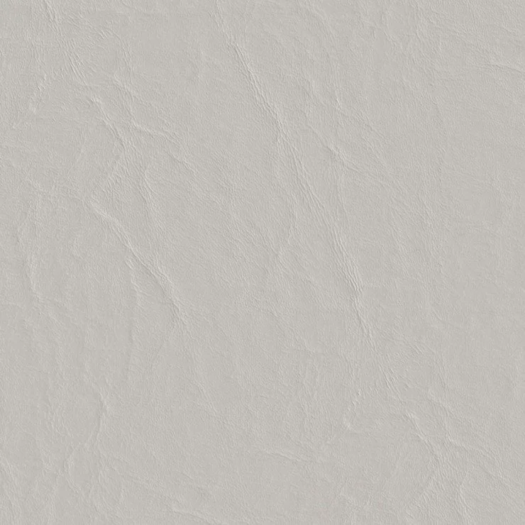 MARQUEE-DOLPHIN.jpg