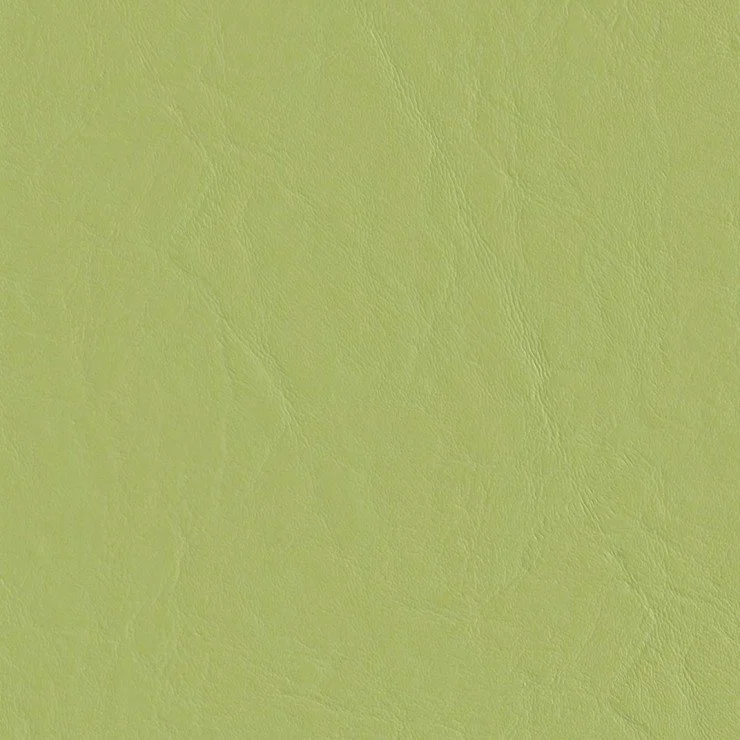 MARQUEE-MANTIS.jpg