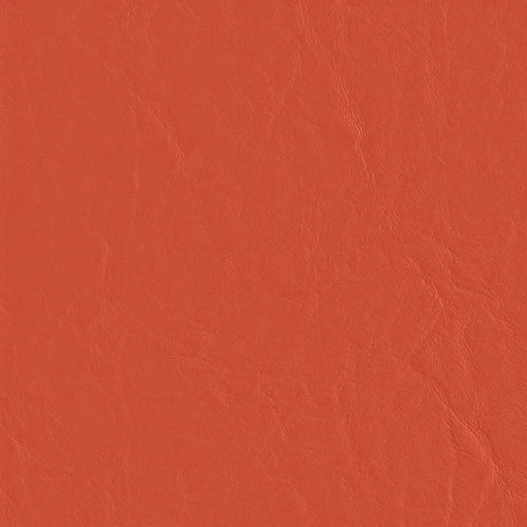 MARQUEE-ROOT.jpg