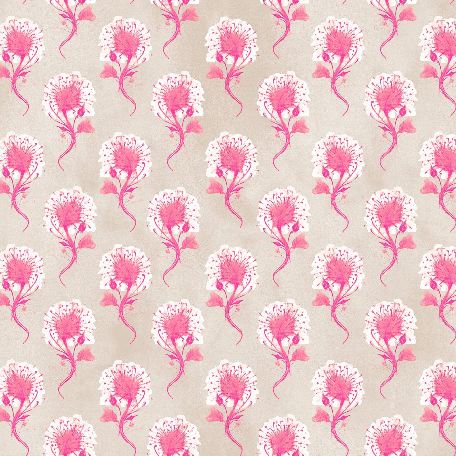 Grevilleas_desert bloom_27_web swatch.jpg