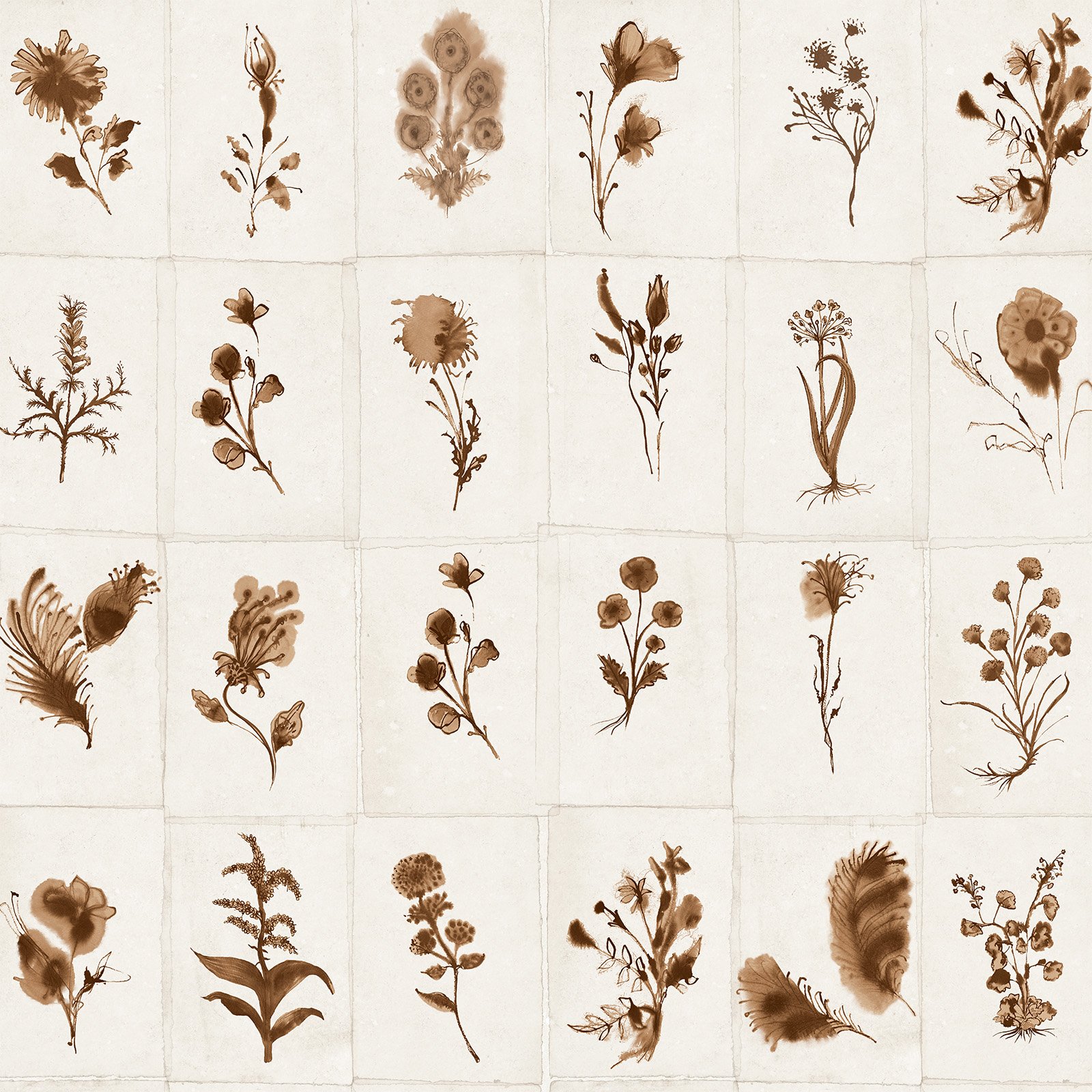 Florilegium sepia-web swatch.jpg