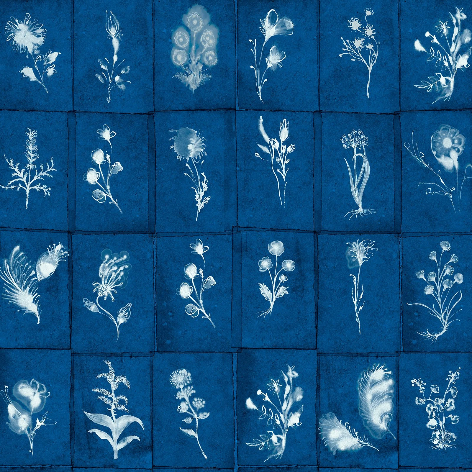 Florilegium cyanotpe web swatch.jpg