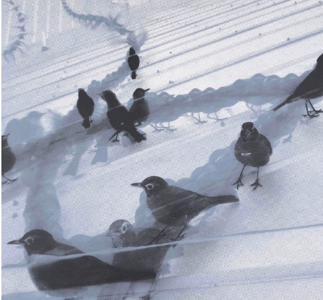 BOB GOLDSTEIN — PEEL