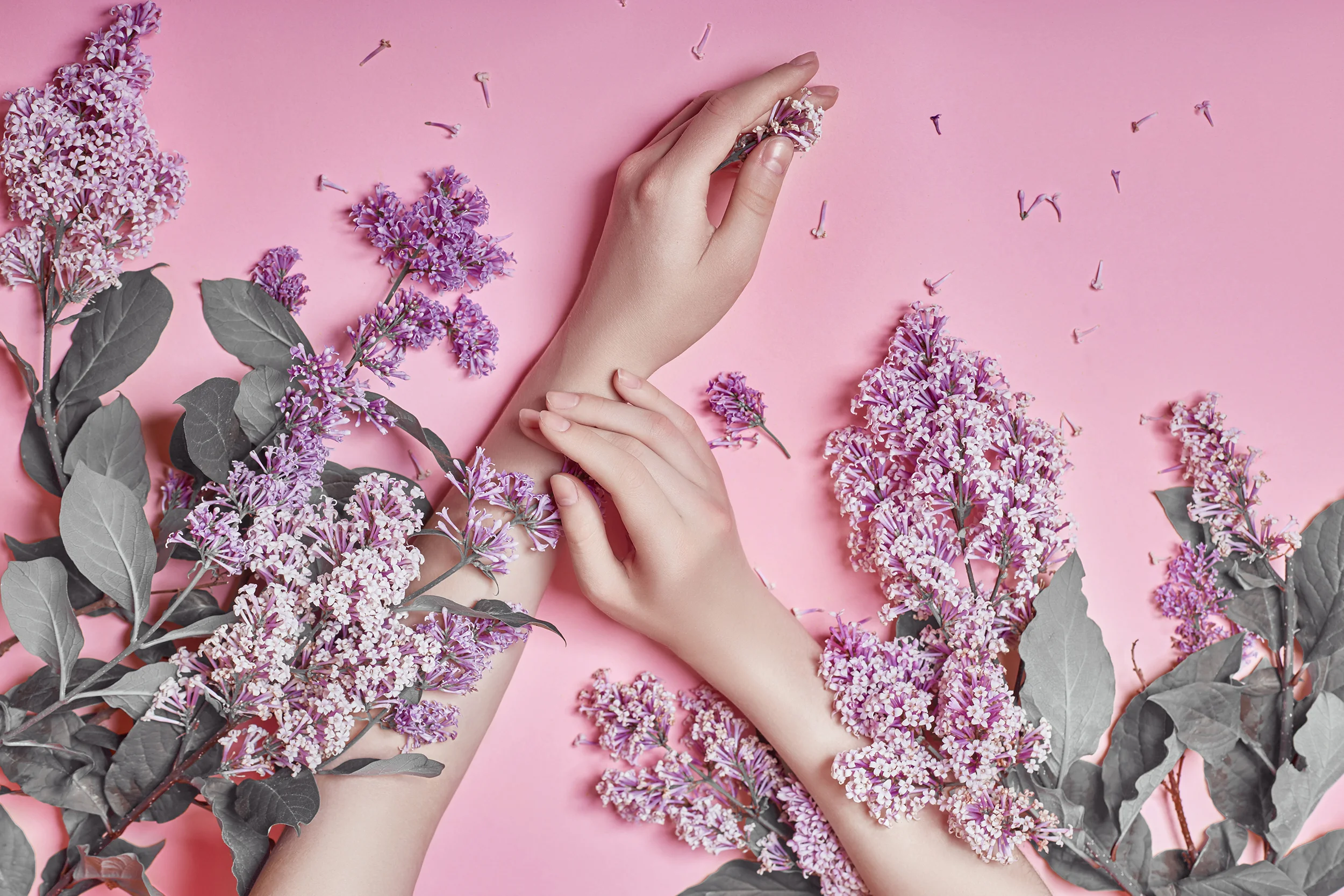March 2019 Specials