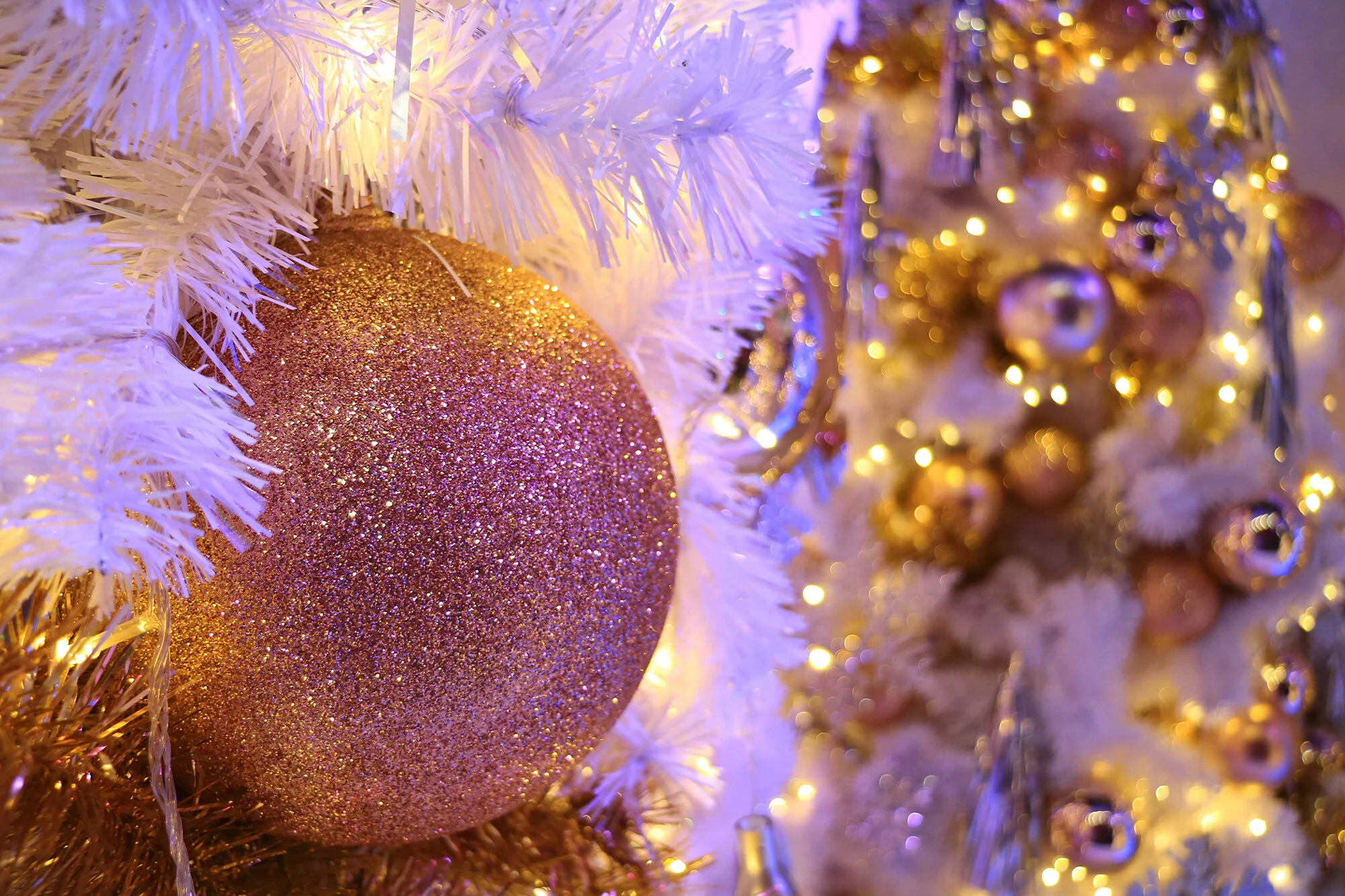 Happy Holidays from Destiny