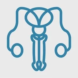 Men's pelvic health 