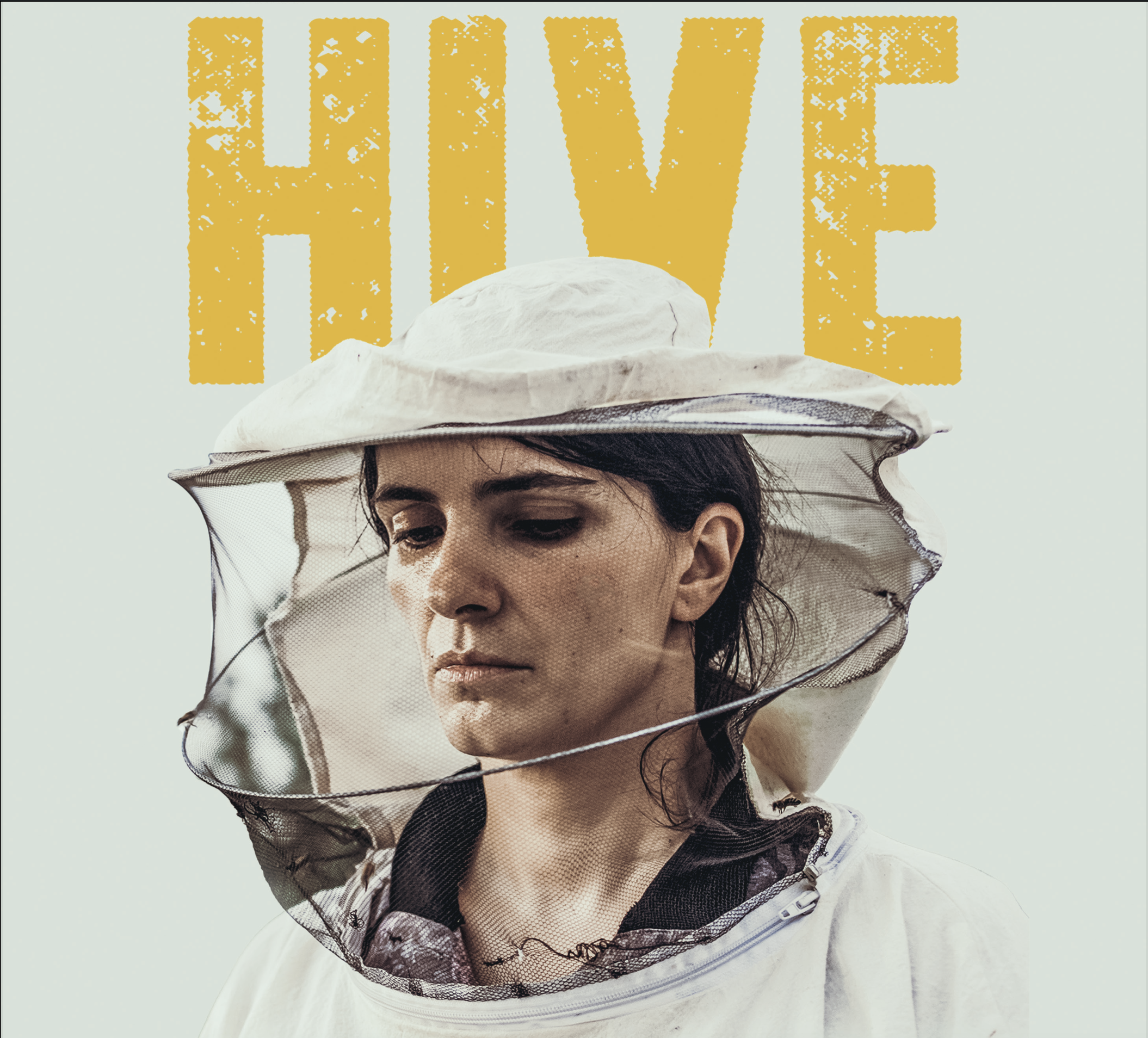 VIRTUAL SCREENING AND Q&amp;A - Hive