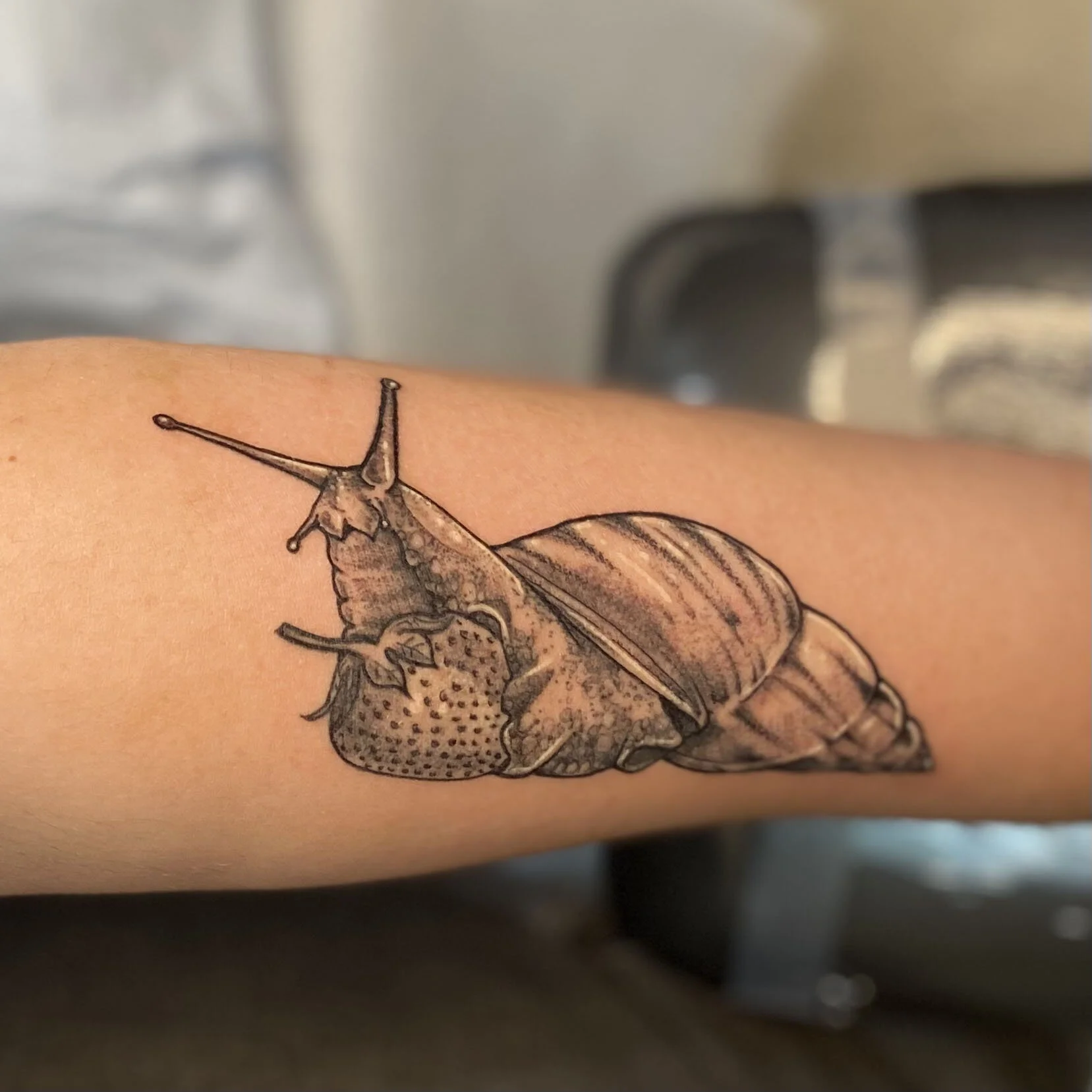 Gallery 1 — Meadowlark Tattoo