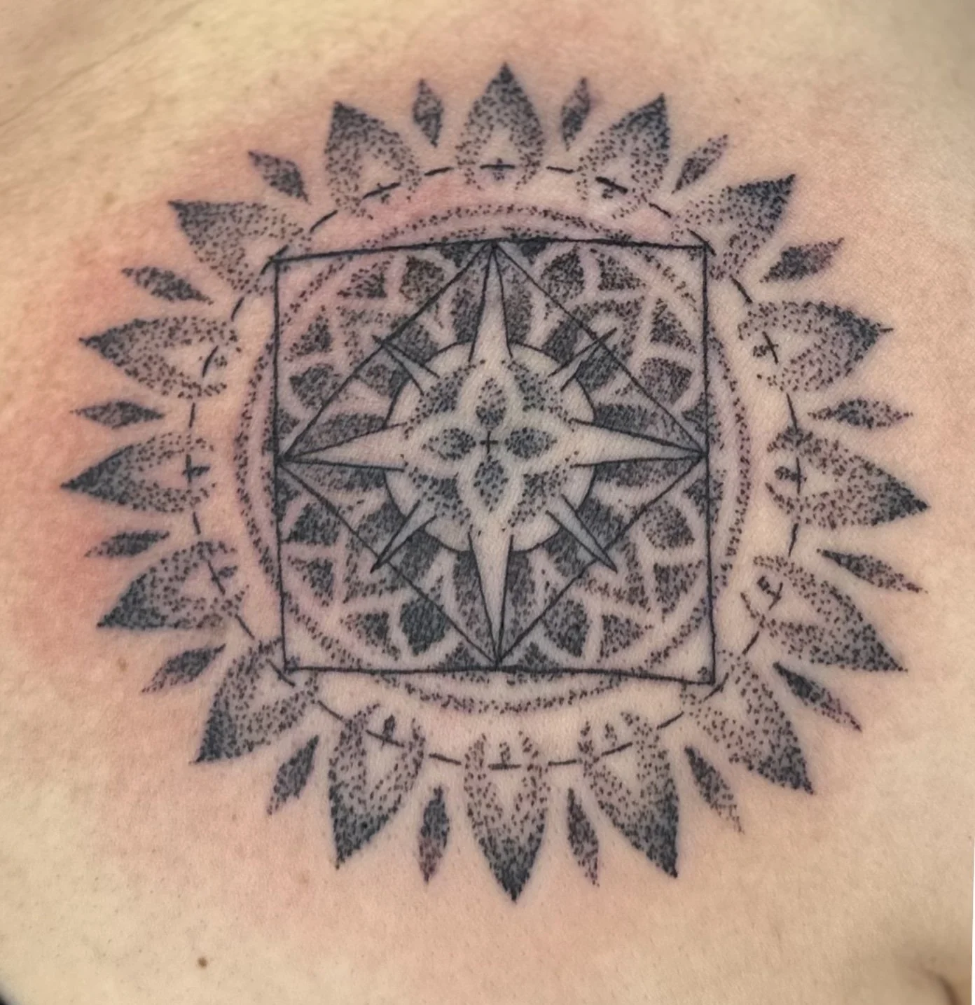 Untitled_Artwork 3.JPG