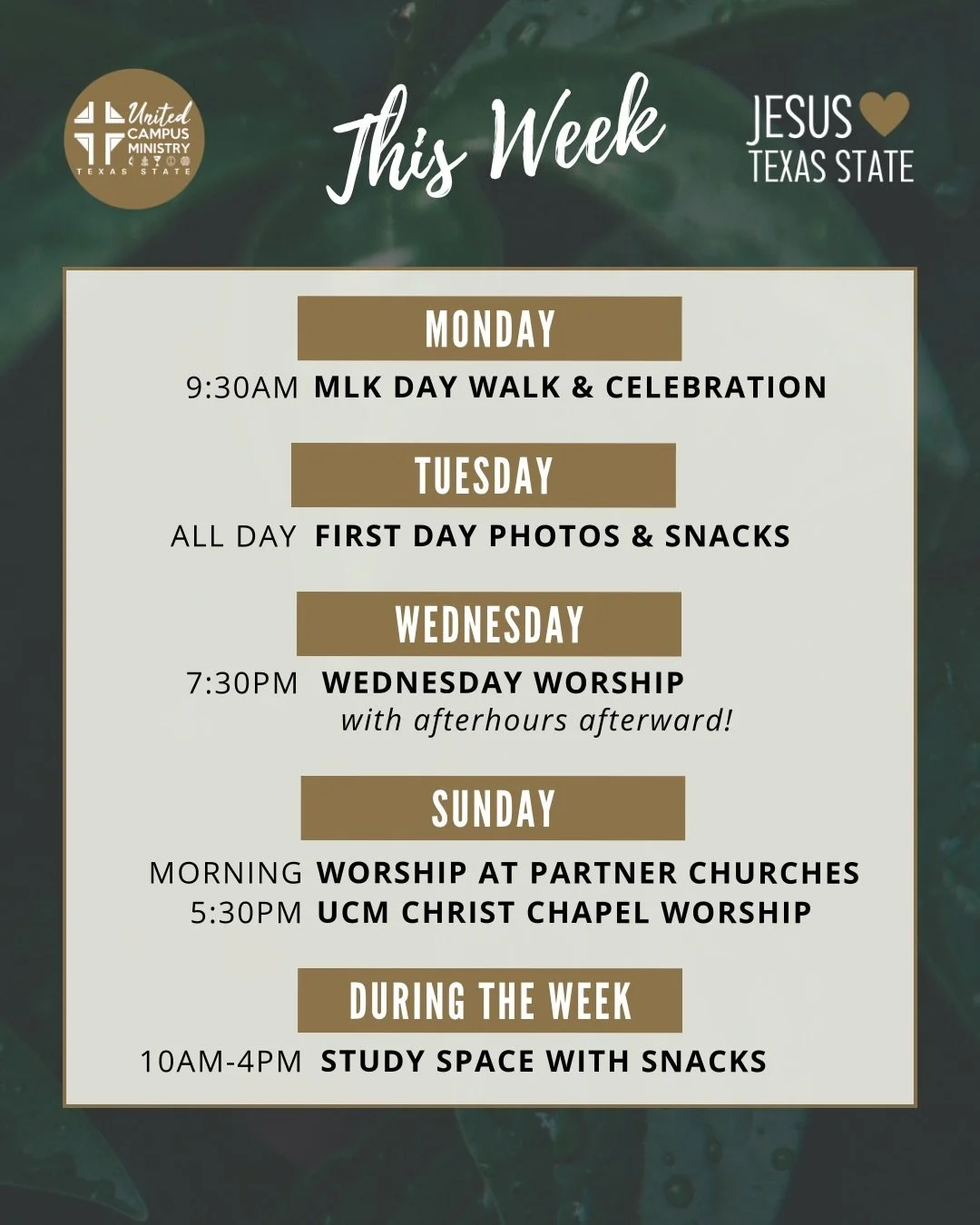 THIS WEEK! 
We&rsquo;re back for a new semester and a new year to grow in the love of Jesus! We have worship Wednesday, MLK walk Monday, and more. 

Get connected at link in Bio! 

#txst #txstnext #BlessEmUpCats #jesus #collegeministry