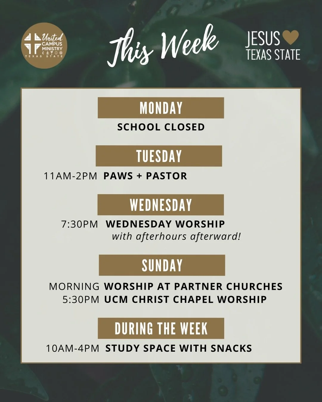 THIS WEEK 
Join us Tuesdays at UCM for Paws + Pastor and say hi to Luke the Great Pyrenees and Pastor Kris. Worship on Wednesday and Sunday! Next week is Monday Lunch and Community Groups! 

#txst #txstnext #BlessEmUpCats.