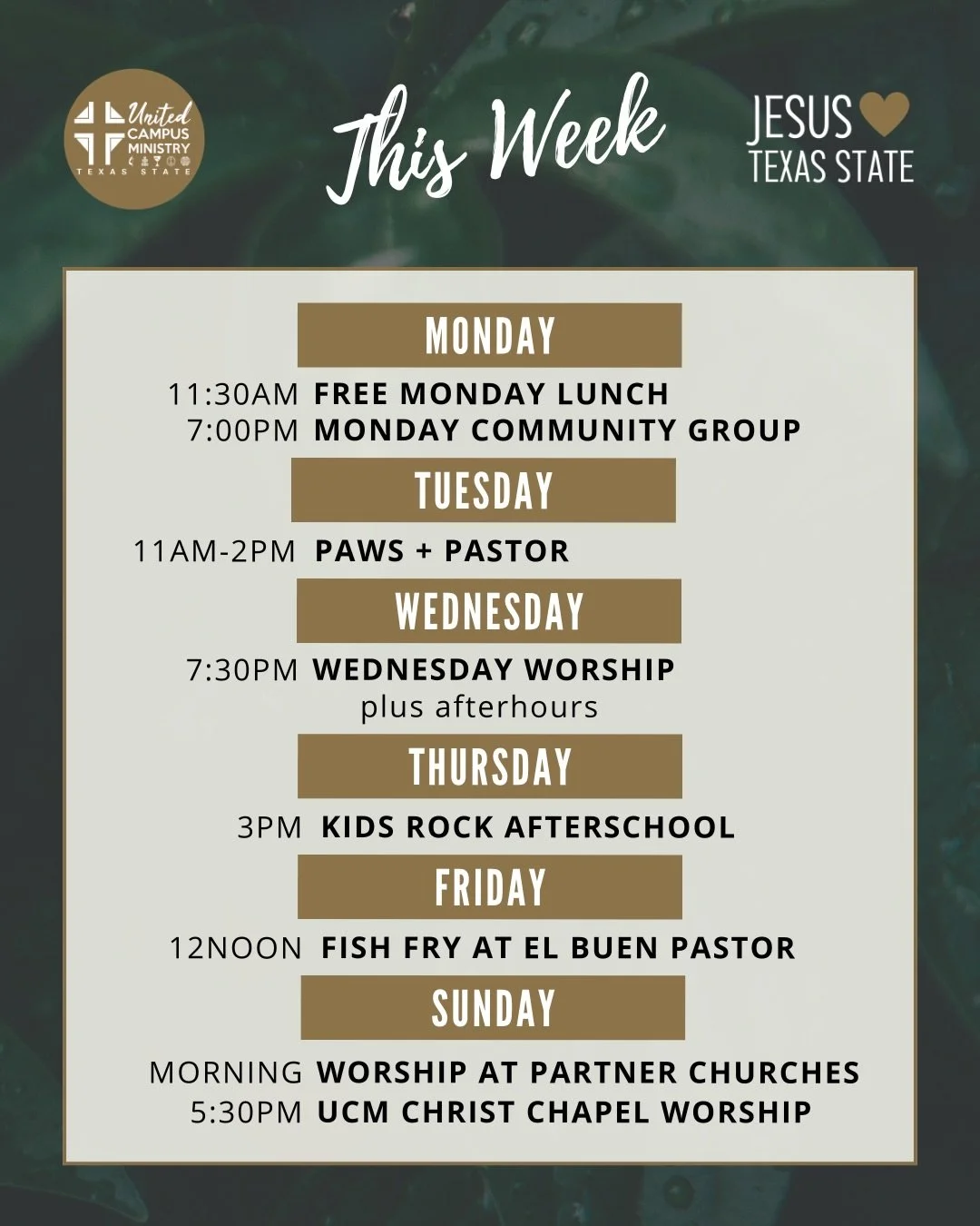 THIS WEEK
We have a great week of ministry with Wednesday 7:30pm worship, free Monday Lunch, Monday Night Community Group, Kids Rock Elementary, Friday Fish Fry and Sunday evening worship! We can&rsquo;t wait to see you there. 

More at link in bio. 