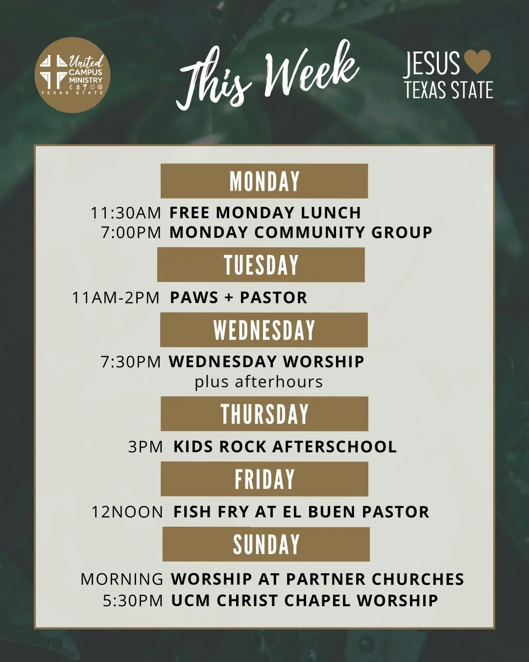 THIS WEEK 
Worship, free Monday Lunch, small groups, volunteering, and study space! 

Get connected at link in bio. 

#txst #txstnext #BlessEmUpCats