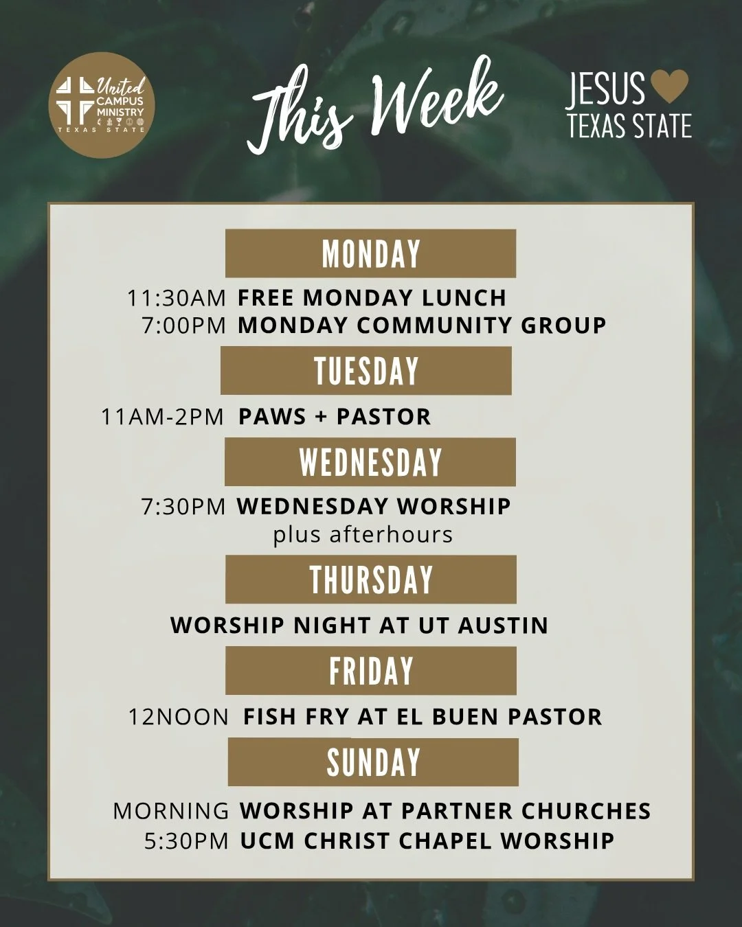 THIS WEEK
Return from Spring Break with worship, free lunch, community groups, roadtrip to worship at UT Austin and more! 

Get connected at link in bio. 

#txst #txstnext #BlessEmUpCats #collegeministry #jesus