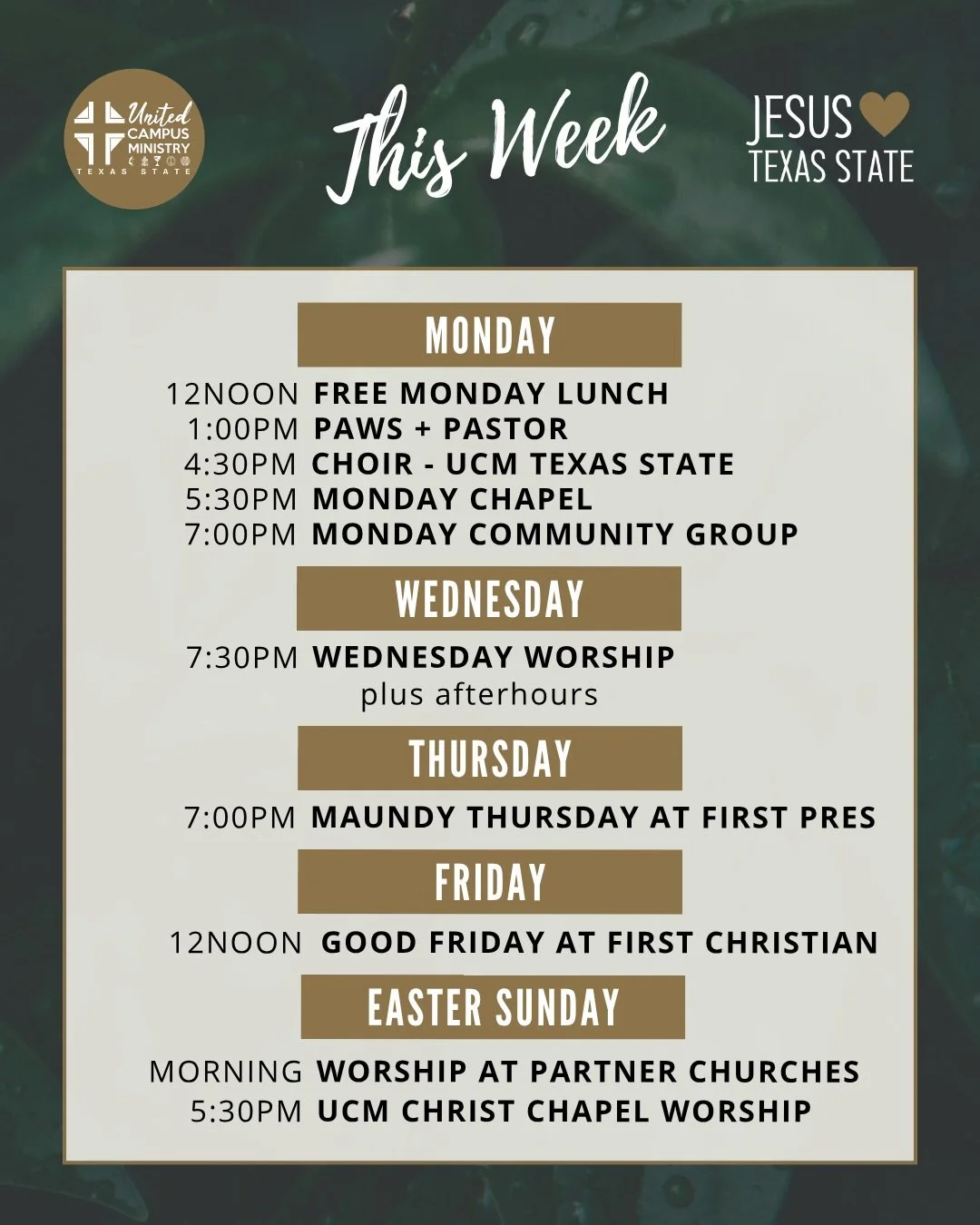 MONDAY CHAPEL + CHOIR 
As we enter Holy Week before Easter Sunday, we journey with Jesus as He arrives in Jerusalem, prays in the garden, shares a last supper with his disciples, goes to the cross, and rises on Easter morning. Join us for worship thr