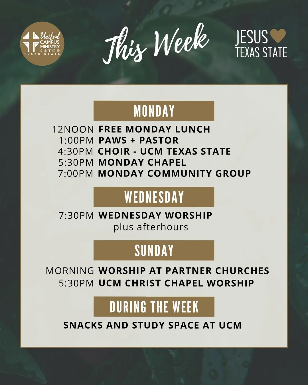 THIS WEEK
Join us for food, faith, and friendship as Dev preaches this Wednesday, we gather for Monday Lunch and Chapel, and we hang out with Luke (the dog) and UCM study space throughout the week. 

Get connected at link in bio