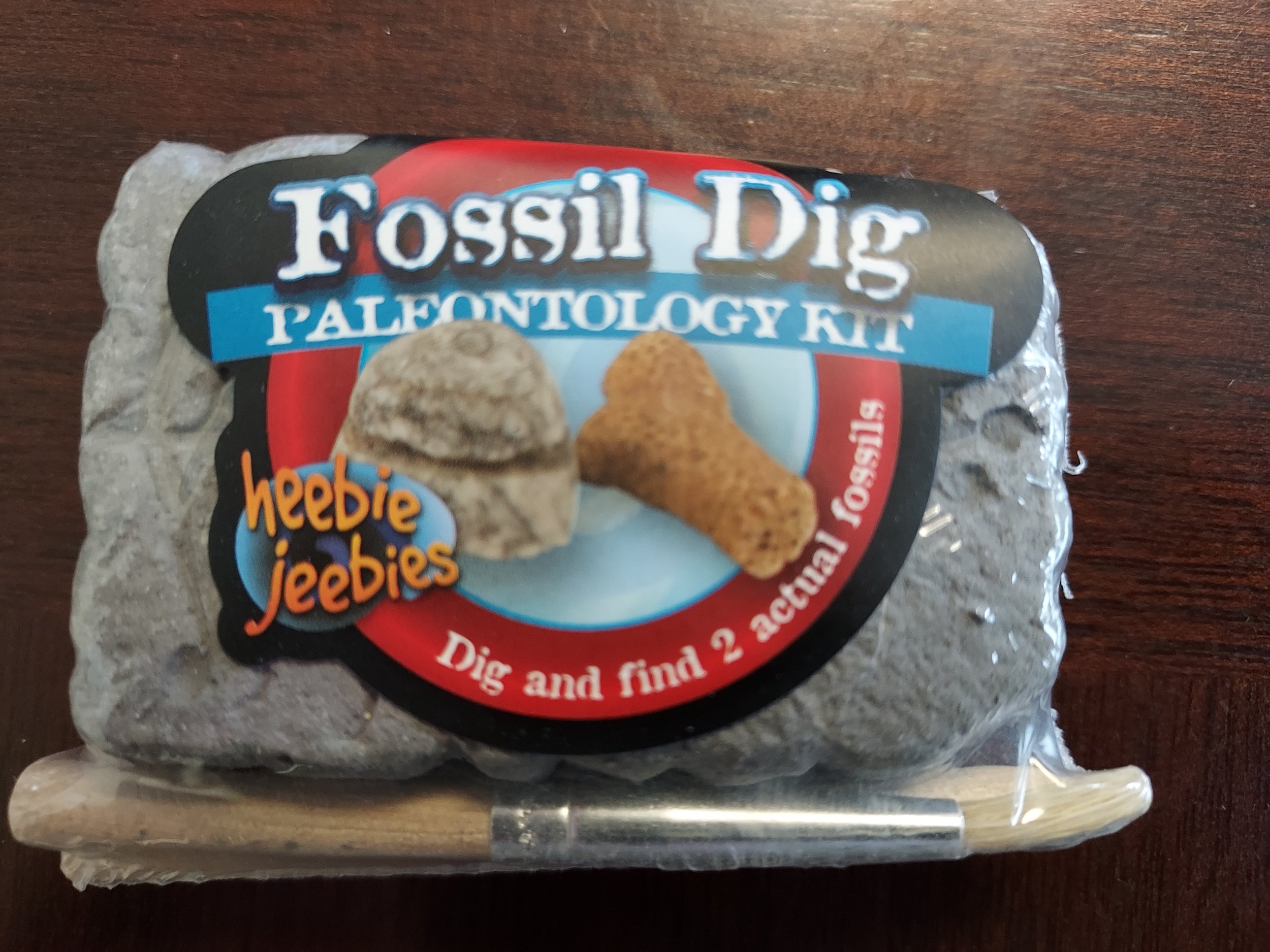 Fossil Dig Kit.jpg