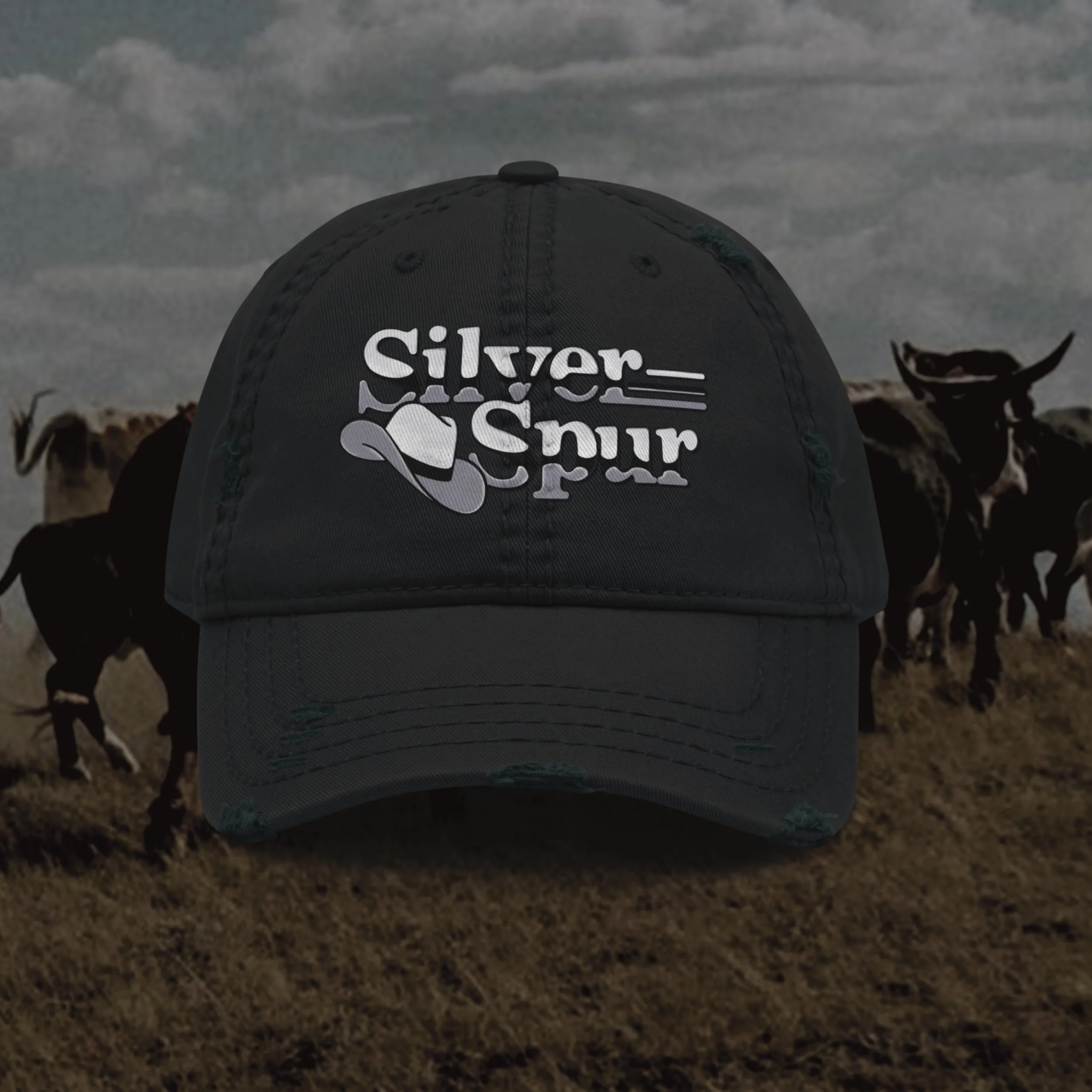 Silver Spur Hat