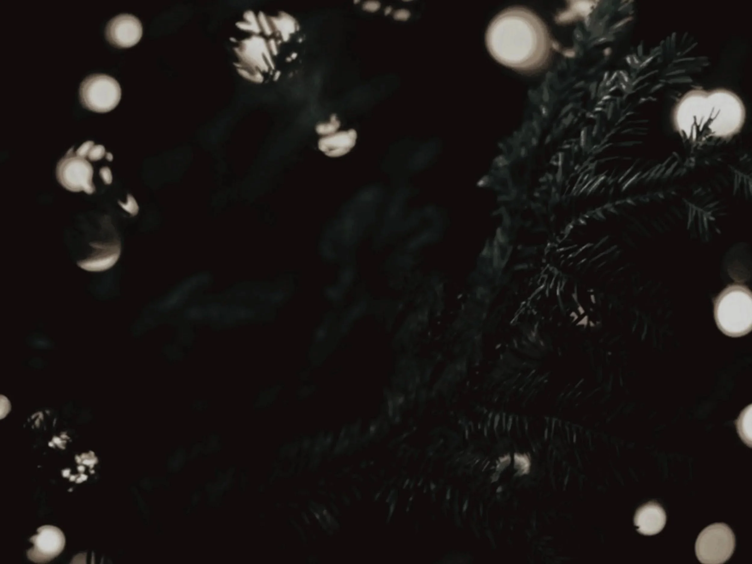 Dark background with blurred circular lights and a branch of a Christmas tree with pine needles.