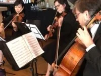 Mozart “Eine Kleine Nachtmusik” 3rd Movement