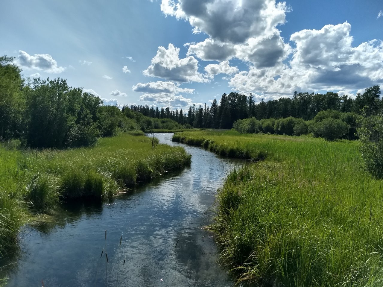 Funds secured for Bad Rock Canyon Conservation Project
